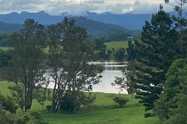 Graceville Walkers image