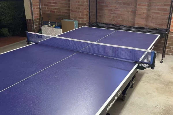 1-on-1 Table Tennis Coaching in Cherrybrook