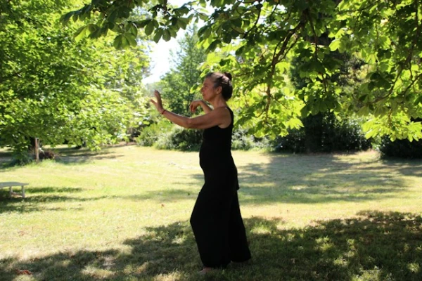 Tai Chi Australia Beginners Class - Kew