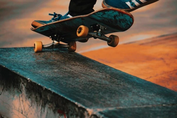 Westies Skateboarding Lessons