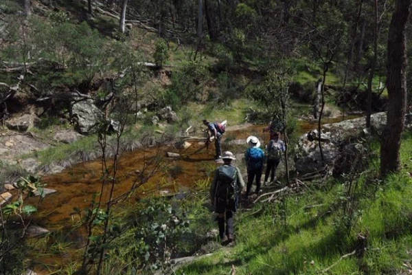 Boroondara Bushwalkers Incorporated image