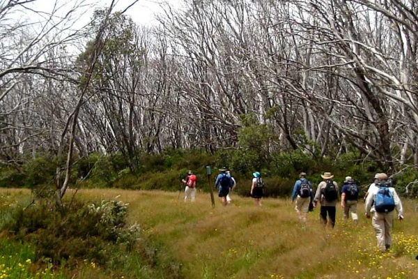 CAEX Bushwalking Club Inc image