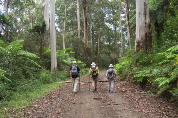 Catholic Walking Club of Victoria Inc image