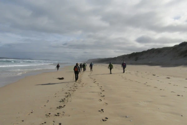 Friends of the Great South West Walk Inc.