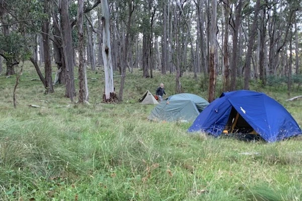 Armidale Bushwalking Club image