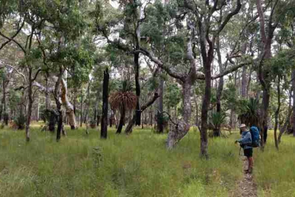 Coffs Hikers – Bushwalking on the Coffs Coast image
