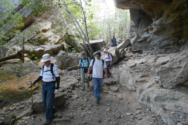 Southern Highlands Bushwalkers – Social Bushwalking
