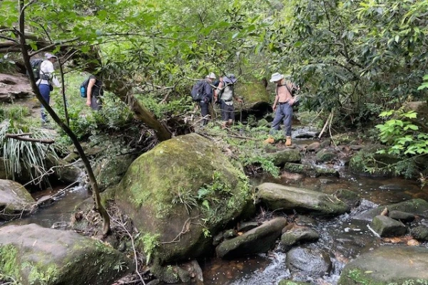 Up & Downers Bushwalking Club – Saturday Walks around Sydney image