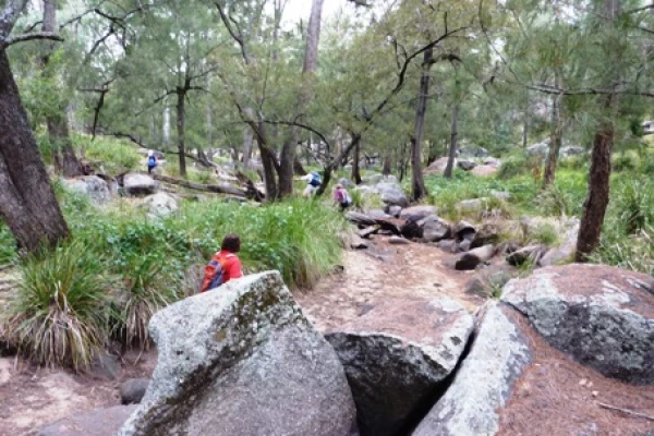 Tamworth Bushwalking & Canoe Club