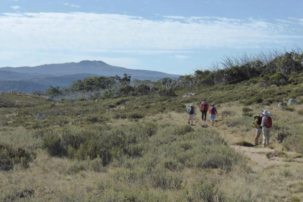 Tumut and District Bushwalkers Inc. image