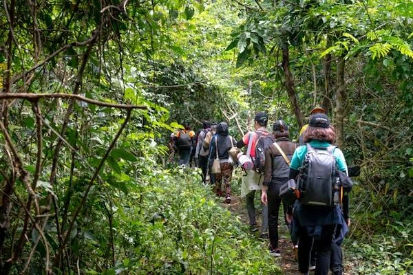 Ale-Yasin Bushwalking Club image