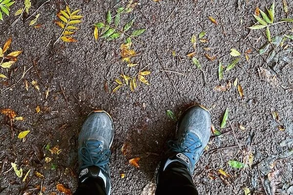 Melbourne Women's Walking Club image