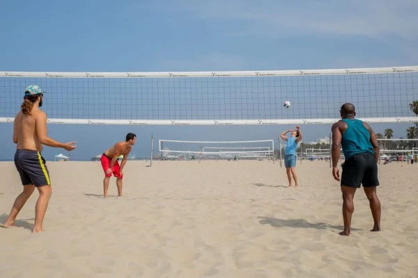 COOGEE BEACH VOLLEYBALL ASSOCIATION INCORPORATED image