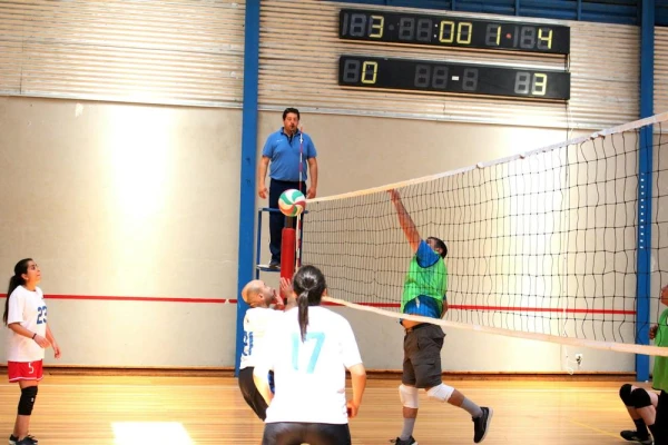 Housecats Volleyball Club image