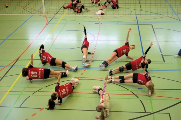 Bossley Bears Volleyball Club – Teen and Adult Volleyball image