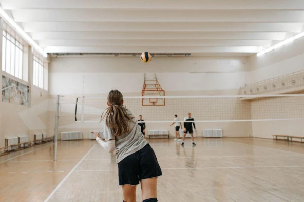 Bossley Bears Volleyball Club - Sutherland Shire