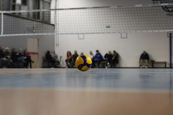 Illawarra Volleyball Association