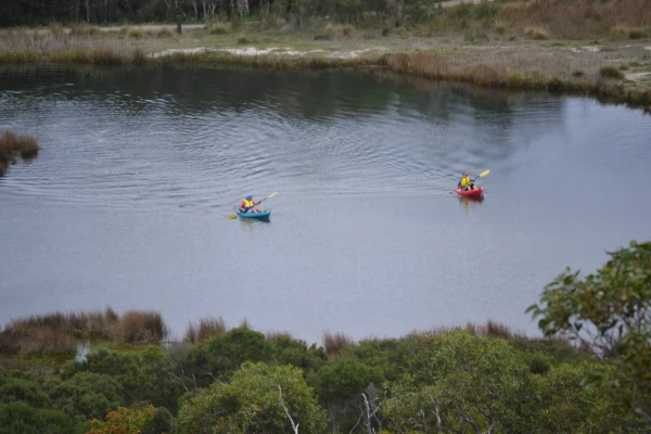 She Paddles Level 1: Geelong 2 - Women Beginners