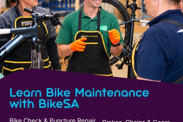 Bike SA - Bike Maintenance Course: Brakes, Chains and Gears