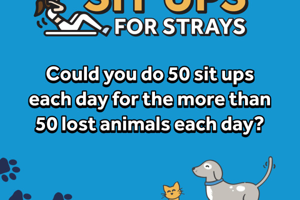 Sit Ups for Strays - virtual challenge